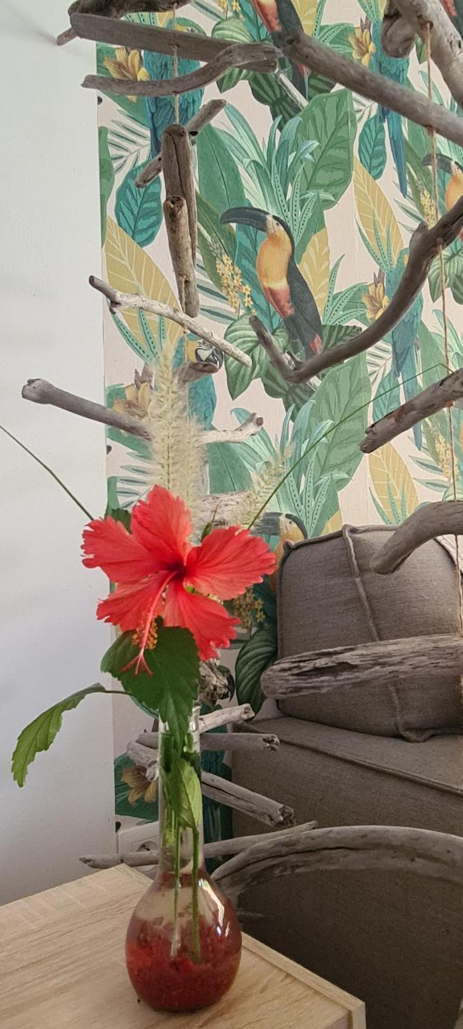 Étang-Salé les Bains Coquet Appartement A 50 M Du Lagon מראה חיצוני תמונה